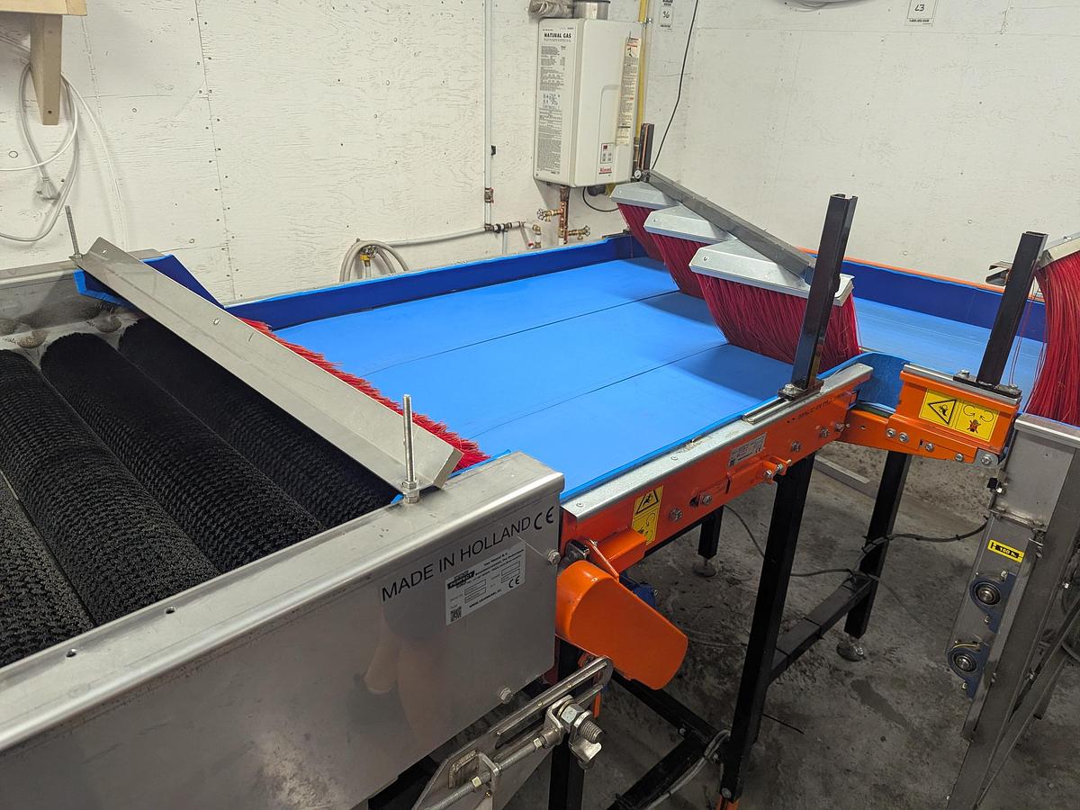 Used Van Wamel Tree Fruit Sorting and Packing Line