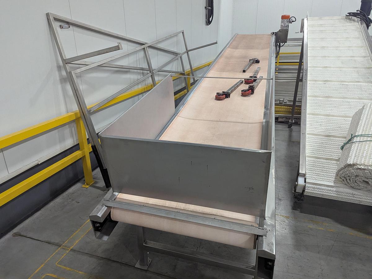 Used Inclined Grading Conveyor