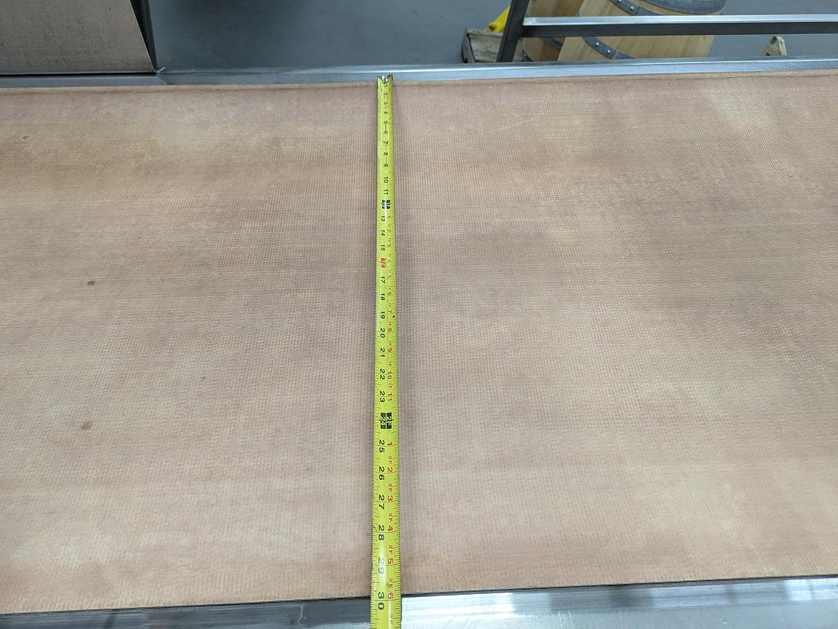 Used Sorting Conveyor