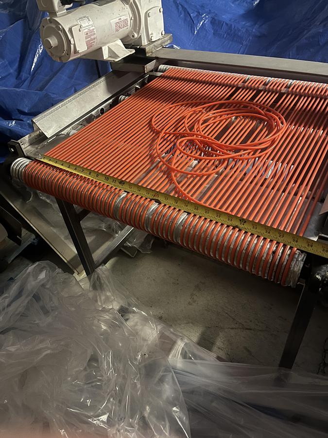 Used Berry Sizing Conveyor