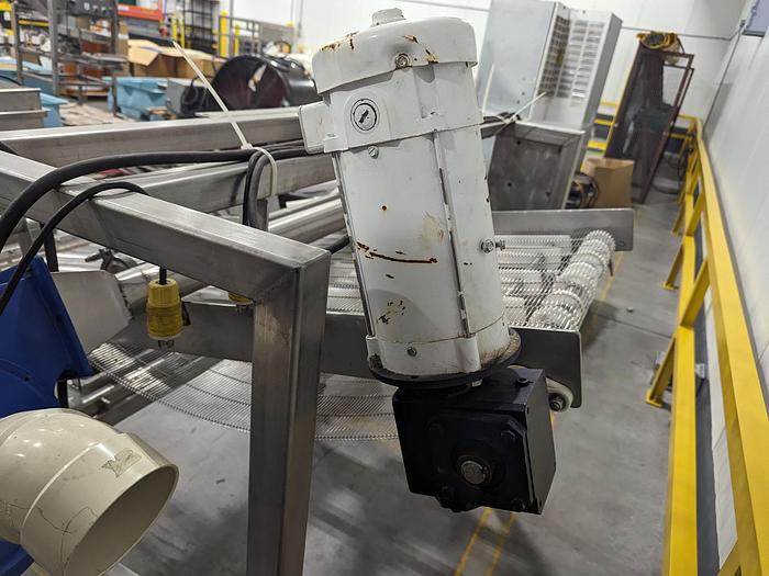 Used Rinse & Dry Berry Conveyor