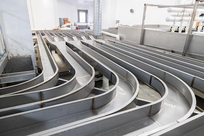 Used Unitec Vision 2 Cherry Sorting Line