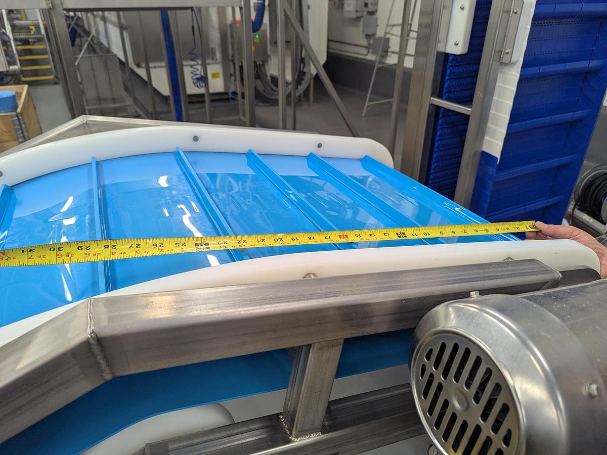 Used Infeed Dog Leg Conveyor