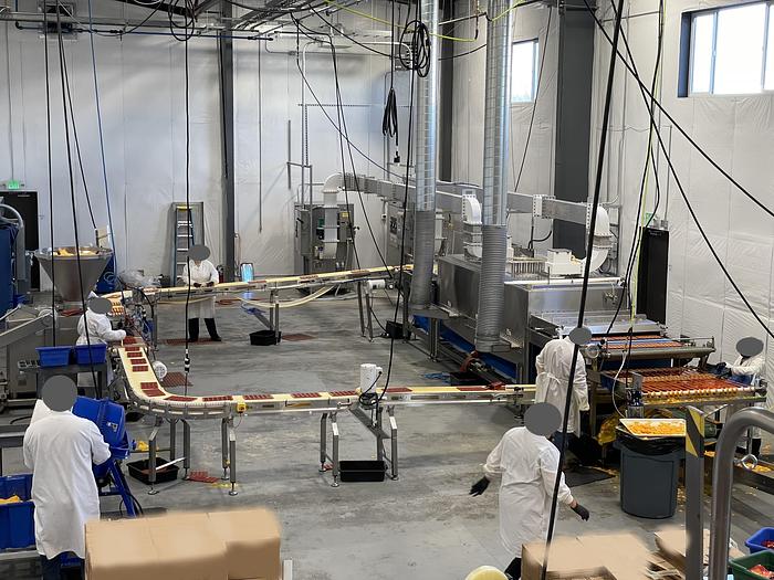 Used AMTek Industrial Microwave Conveyor System