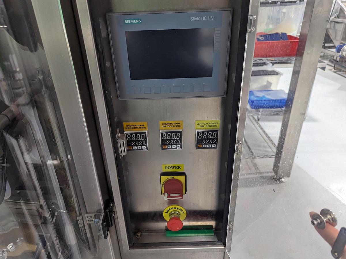 Used 10-Head Scale Bagger System with Infeed Conveyor 