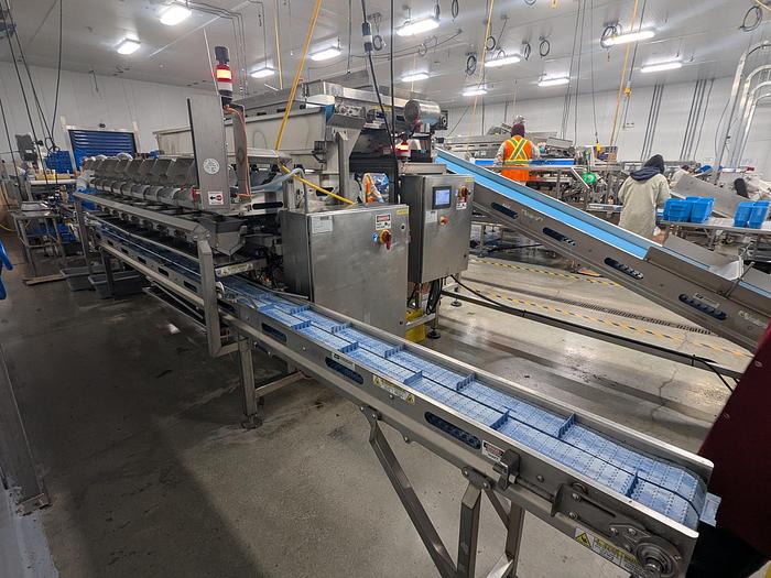 Used Andgar 10 Lane Berry Filler