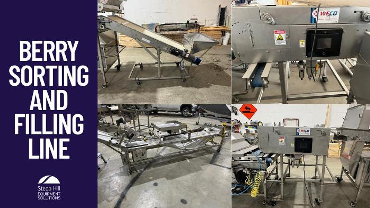 Used WECO Blueberry Sorting and Filling Line - Full Line