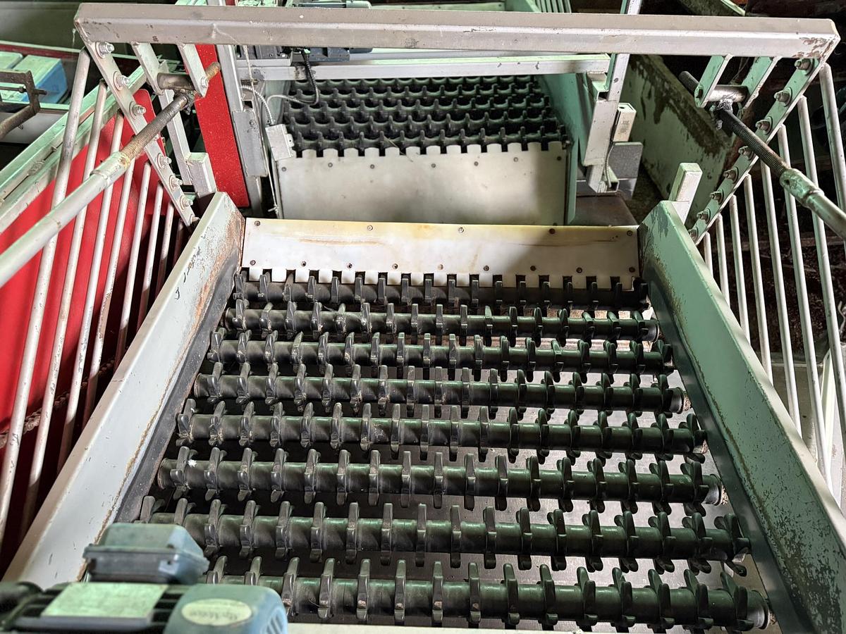 Used RCO 48" Double Sizer