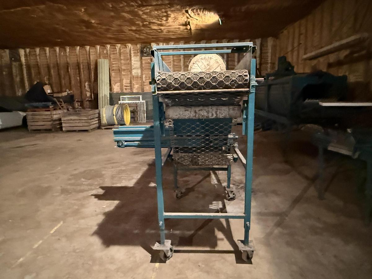 Used Vegetable Sizer, 25" Wide, 2" Sizing Chain
