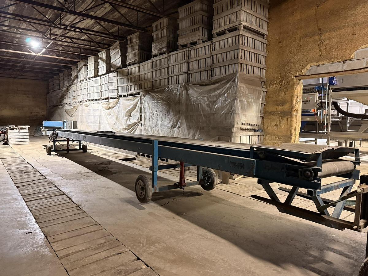 Used Alliston Machinery 50' Long by 36" Wide Belt Conveyor