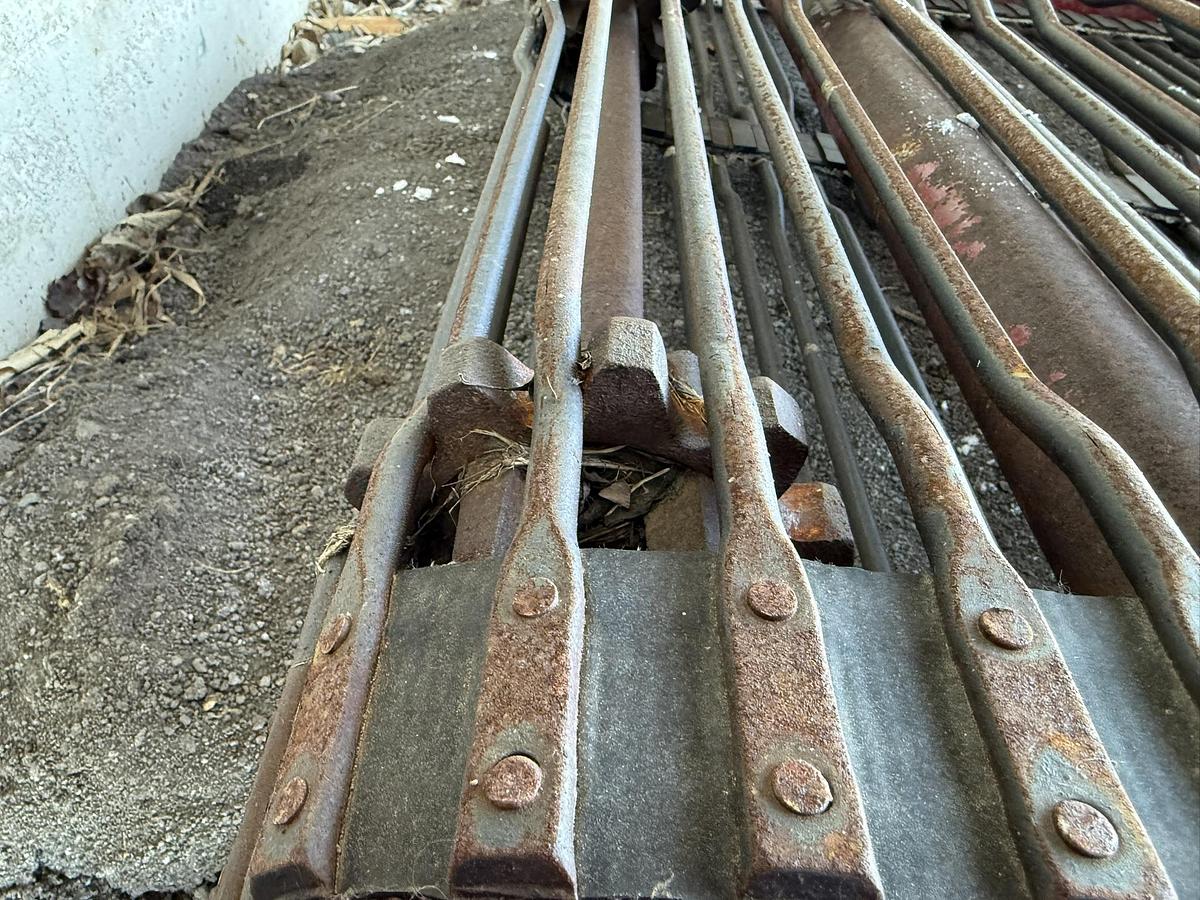 Used Belted Chain Elevator Coneyor 52" Wide 142" Long