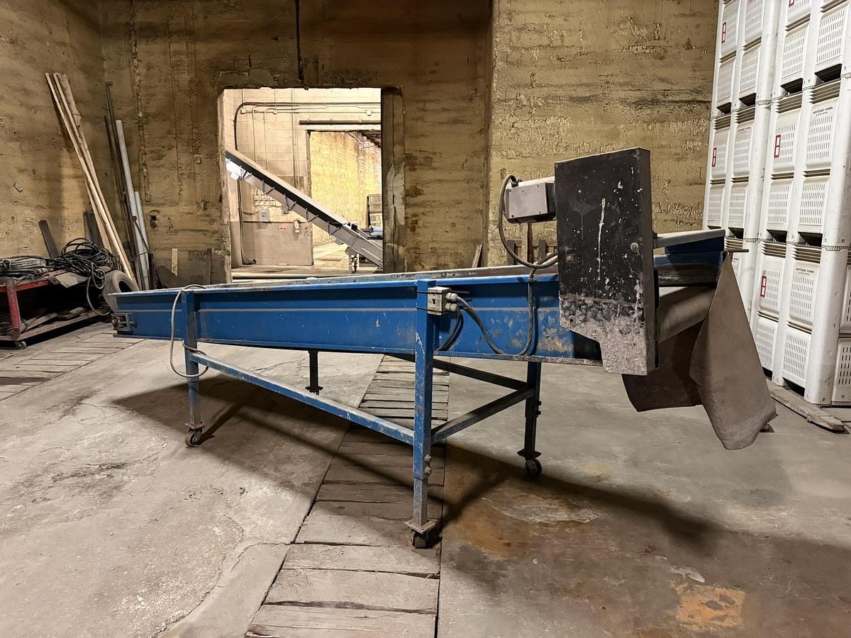 Used Alliston Machinery 14' Long x 34" Belt