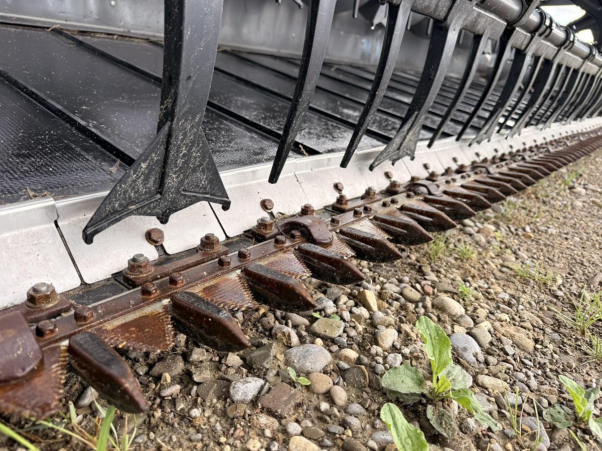 Used 2019 Claas 1230 Convio 40' Flex Darper