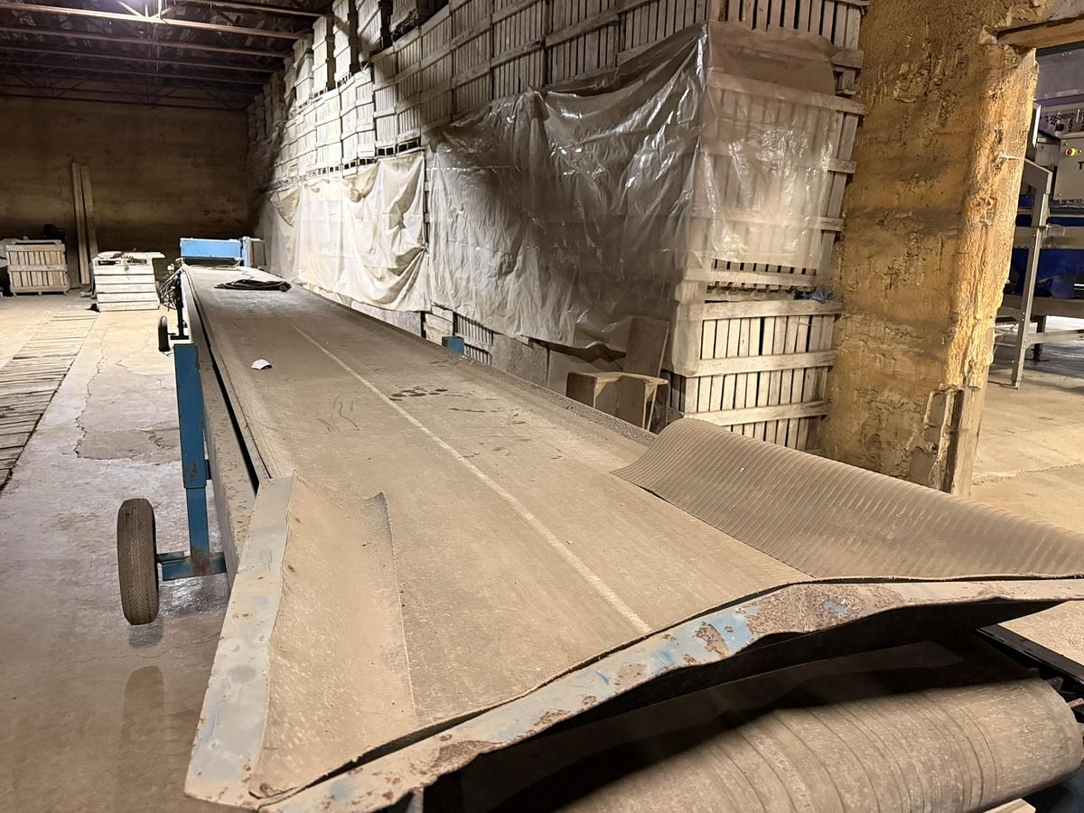 Used Alliston Machinery 50' Long by 36" Wide Belt Conveyor