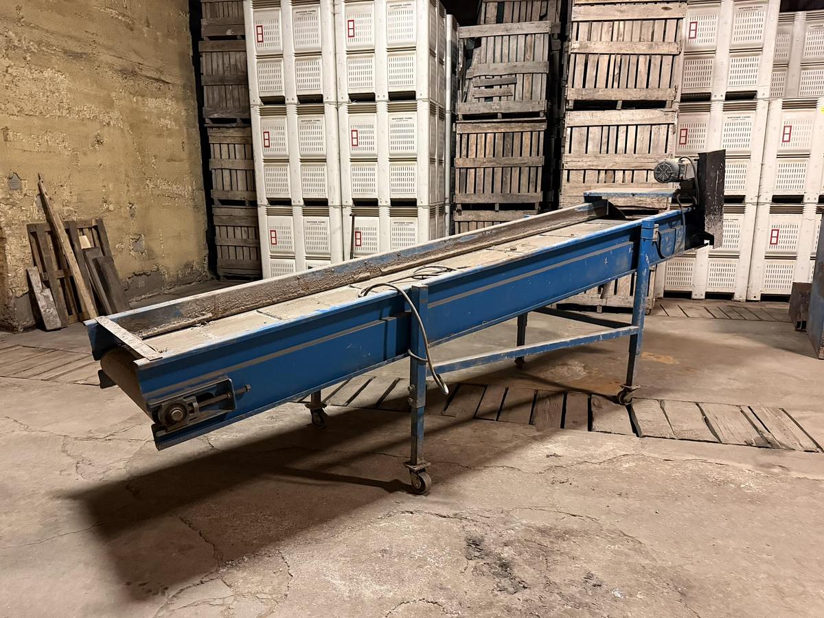 Used Alliston Machinery 14' Long x 34" Belt