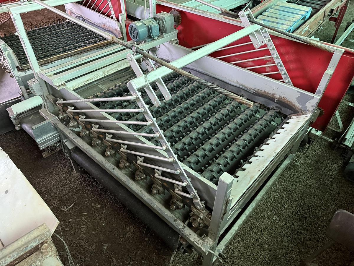 Used RCO 48" Double Sizer