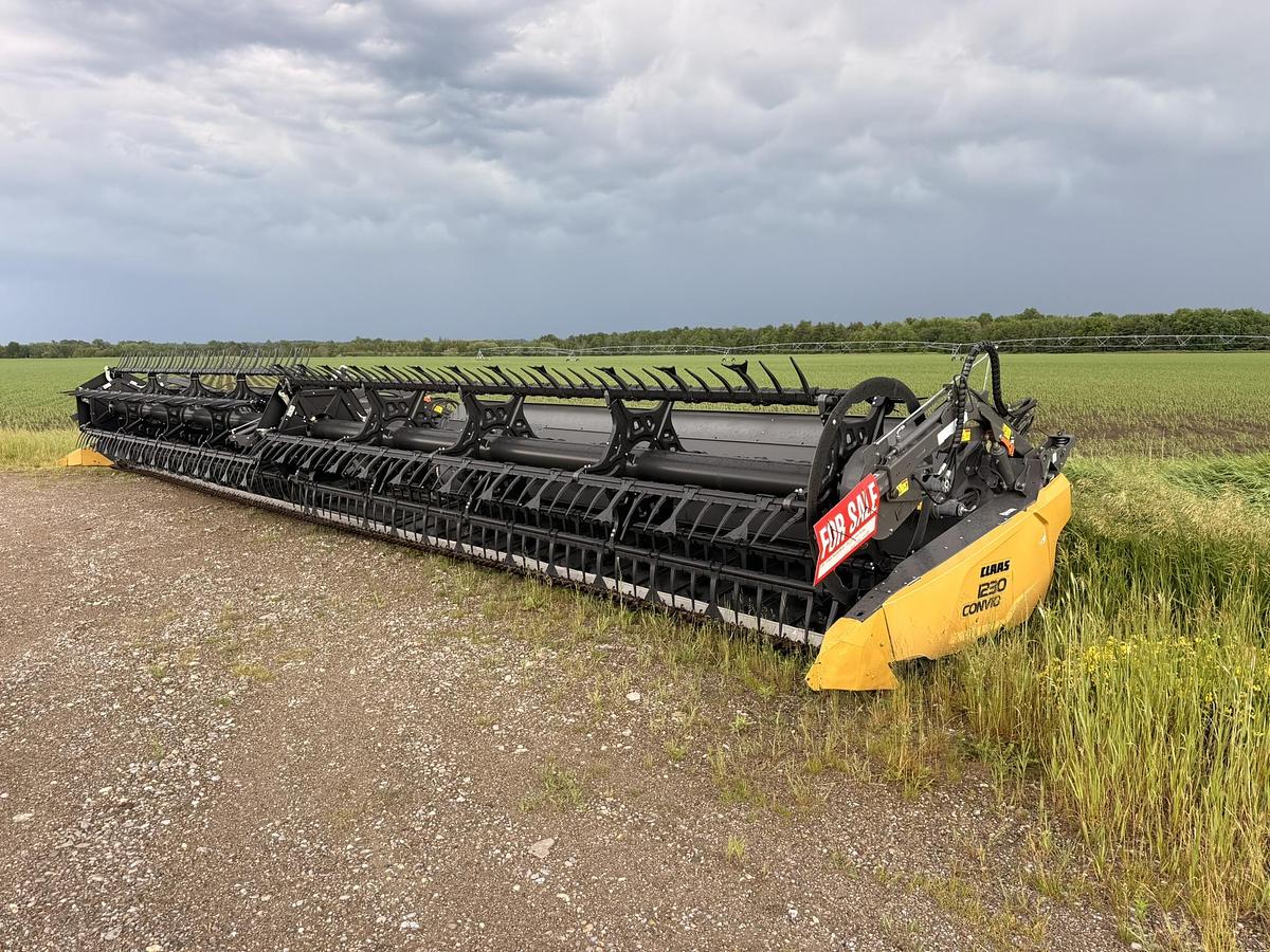 Used 2019 Claas 1230 Convio 40' Flex Darper