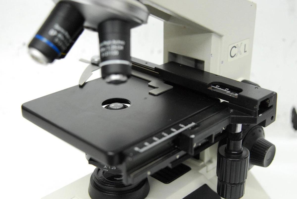 Used Labomed CX L Binocular Microscope W/ 4/10/40/100x Semi Plan Achro Objectives