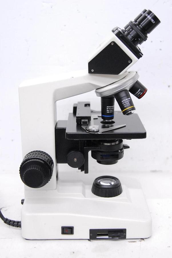 Used Accu-Scope Compound Microscope W/ SP-ACHRO 4x/10x/40x Objectives