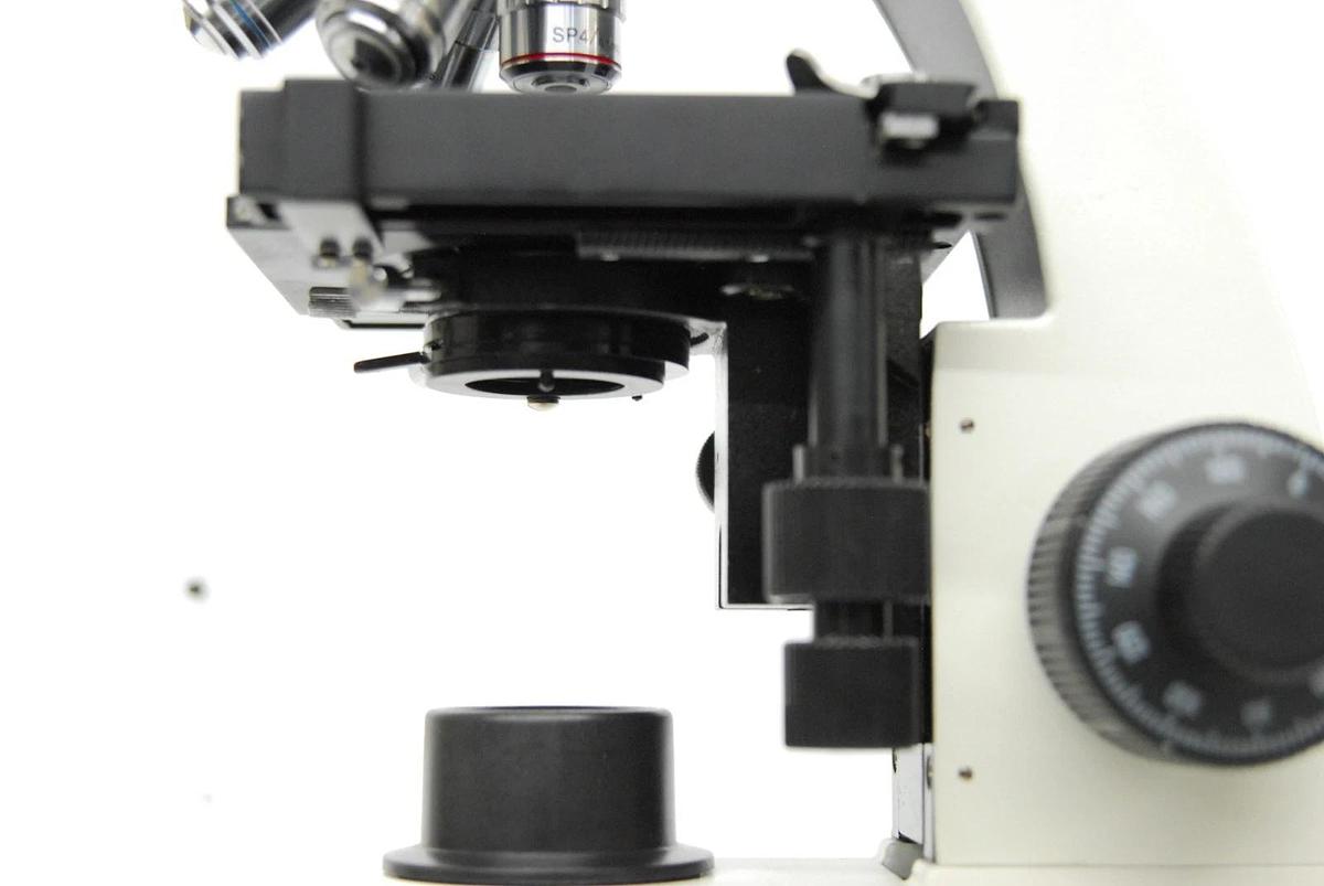 Used VWR Vistavision Compound Microscope W/ SP 4x/10x/40x/100x Objectives