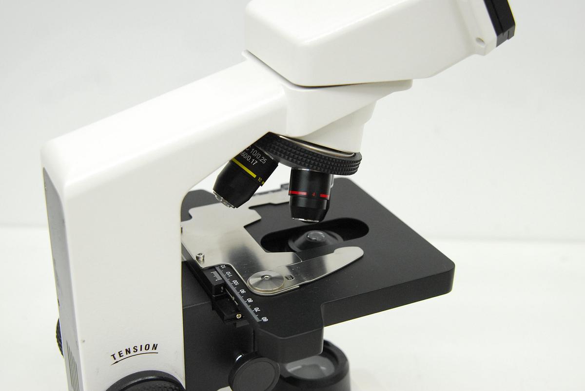 Used Boreal B2-252 Binocular Microscope W/ 4/10/40/100 Objectives