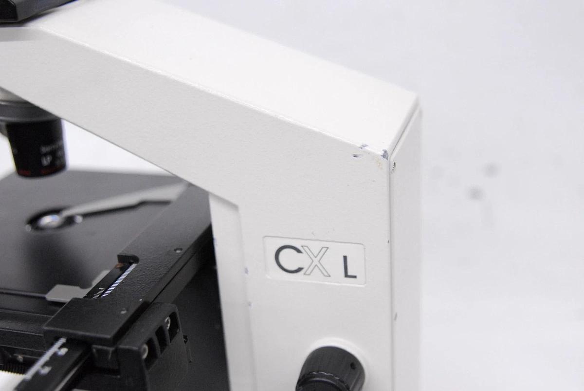 Used Labomed CX L Binocular Microscope W/ 4/10/40/100x Semi Plan Achro Objectives