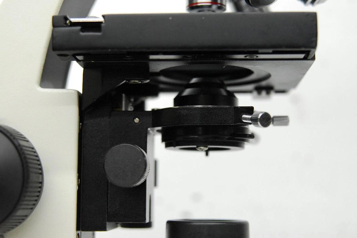 Used VWR Vistavision Compound Microscope W/ SP 4x/10x/40x/100x Objectives