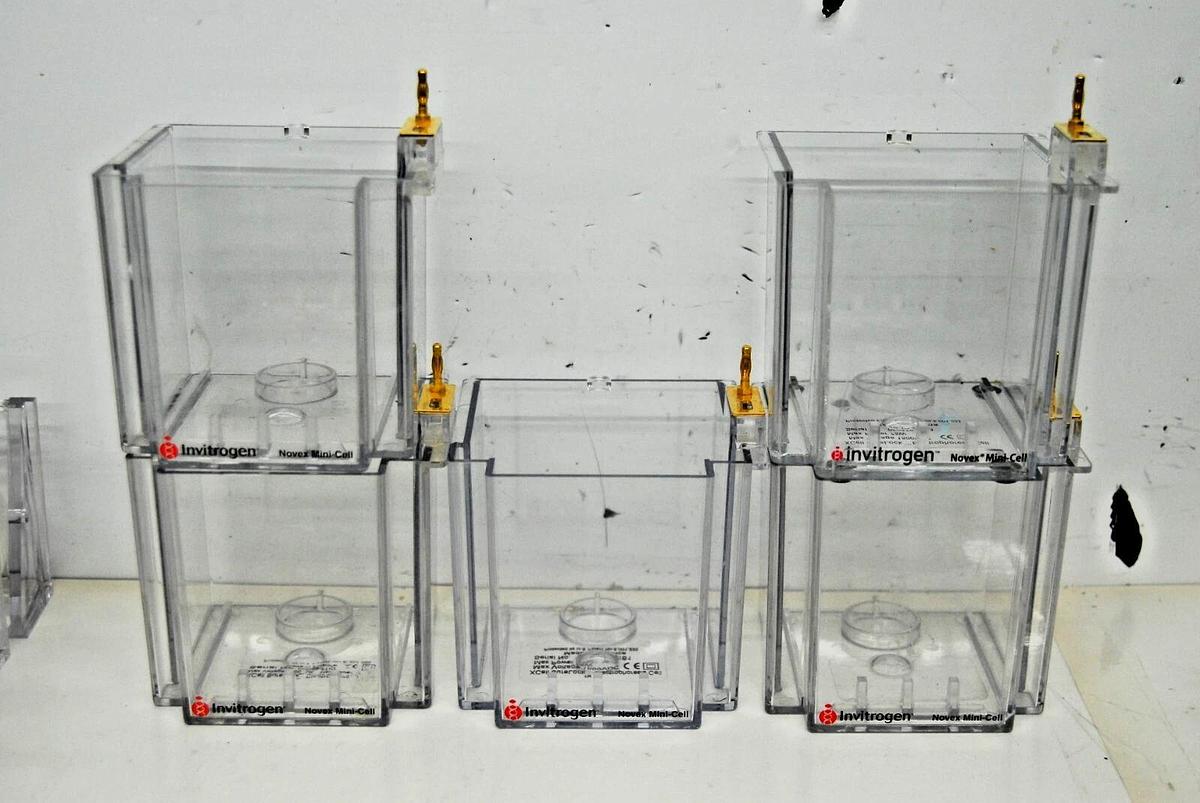 Used Invitrogen XCell SureLock Mini-Cell Electrophoresis System - EI0001 *Lot*