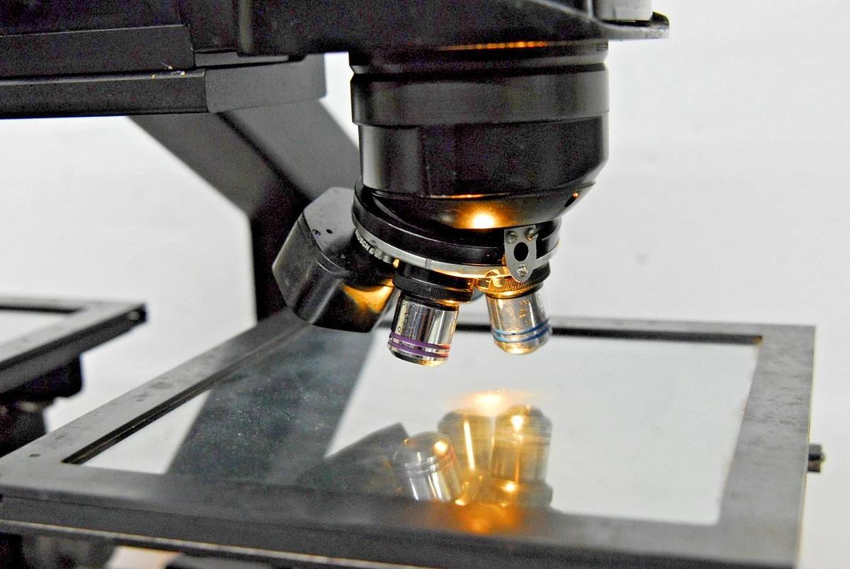 Used Bausch & Lomb High Power Stereoviewer Comparison Microscope