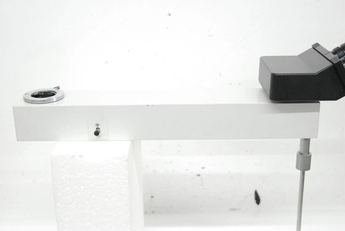 Used Leitz 513578 Dual Observation Asymmetric Discussion Tube W/ Head, 2x Eyepieces