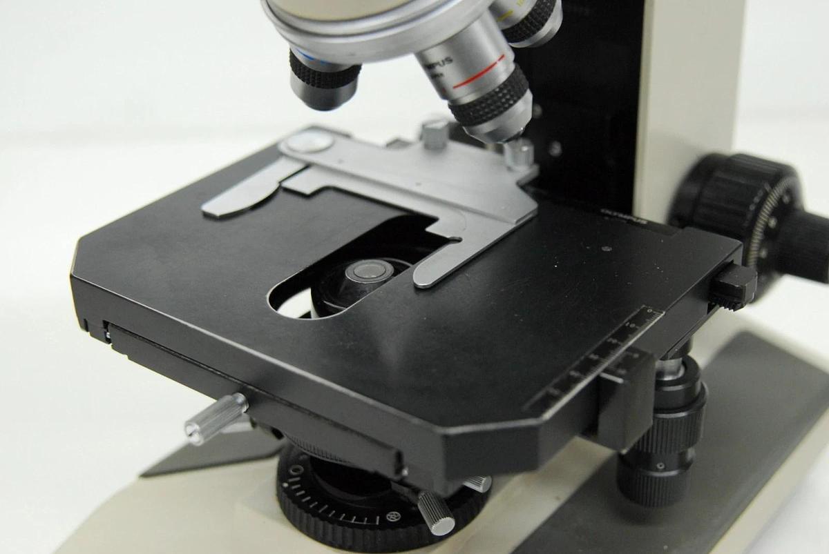 Used Olympus BH-2 BHUT Dual Viewing Teaching Microscope W/ D Plan Objectives