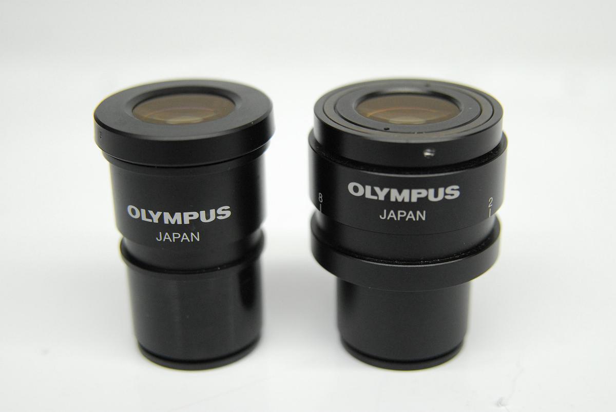 Used Olympus WH10X-H/22 WH10X/22 T2 Eyepiece Set (30mm)