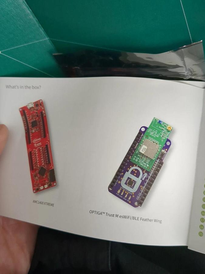 XMC1400 XTREME and OPTIGA Trust M Feather Wing