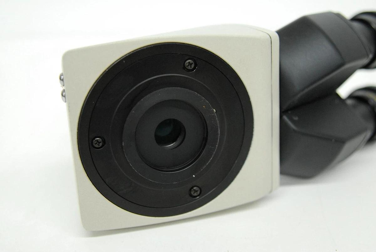 Used Nikon F Trinocular Microscope Head W/ CFW10x Eyepieces -  Labo/Opti/Alpha