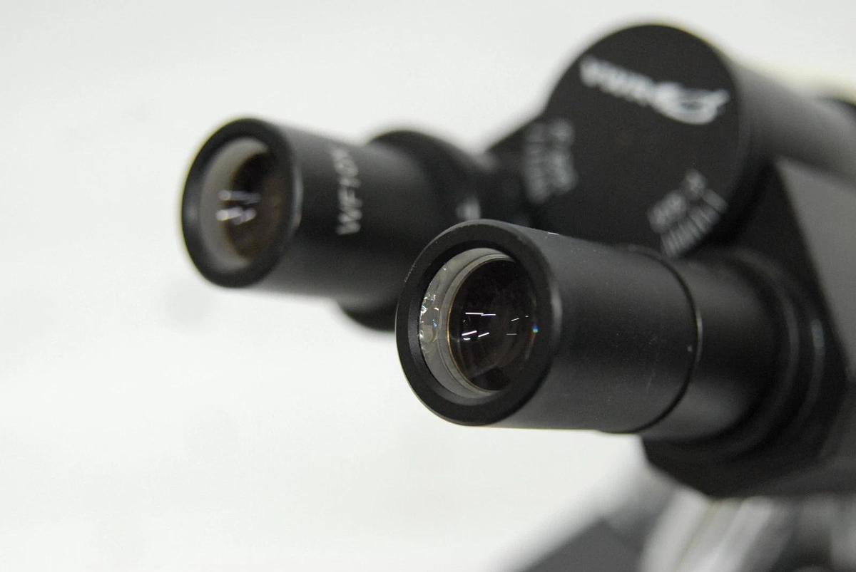 Used VWR Vistavision Compound Microscope W/ SP 4x/10x/40x/100x Objectives