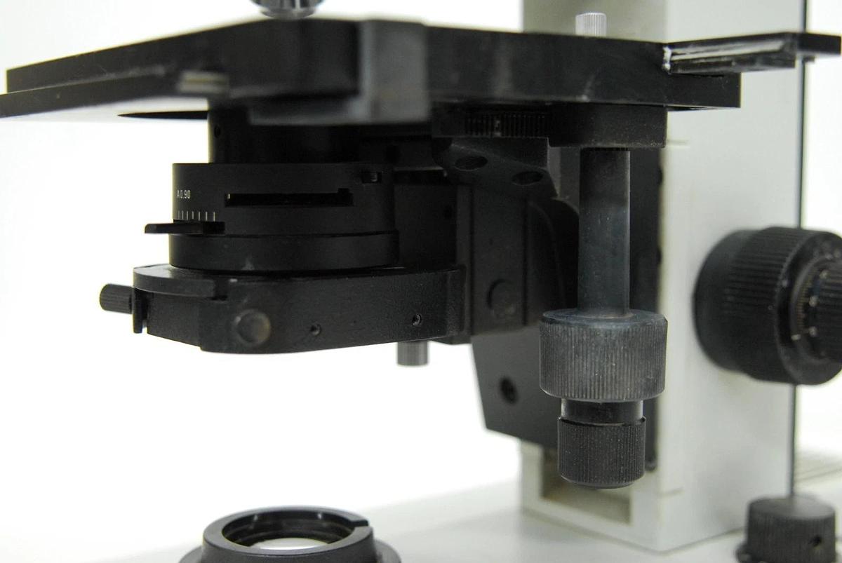 Used Leitz Laborlux D 512795 Binocular Microscope W/ EF 4/10/25/40 Objectives