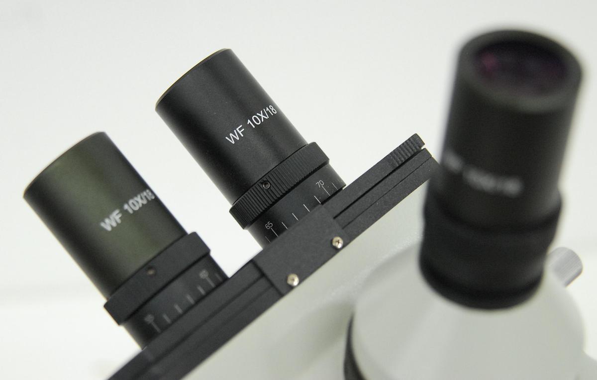 Used Wolfe B1-223 Trinocular Microscope W/ 4/10/40/100x Objectives