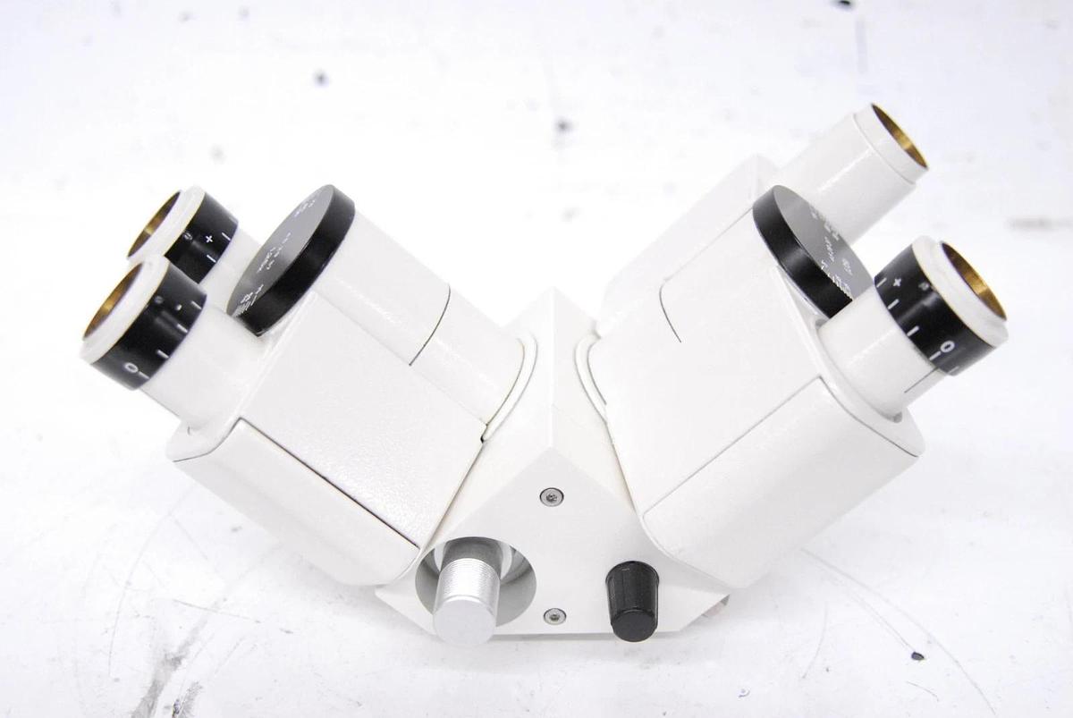 Used Zeiss 45 29 37 Dual Observation Tube LED Pointer Microscope Head W/ Power Supply