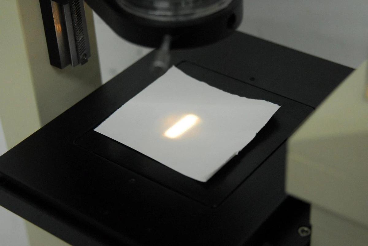 Used VWR VistaVision Inverted Trinocular Microscope W/ 10x, 25x PL L Objectives