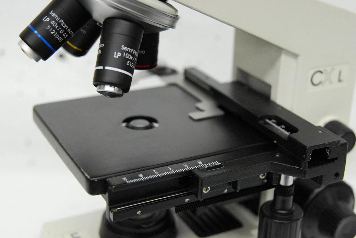 Used Labomed CX L Binocular Microscope W/ 4/10/40/100x Semi Plan Achro Objectives