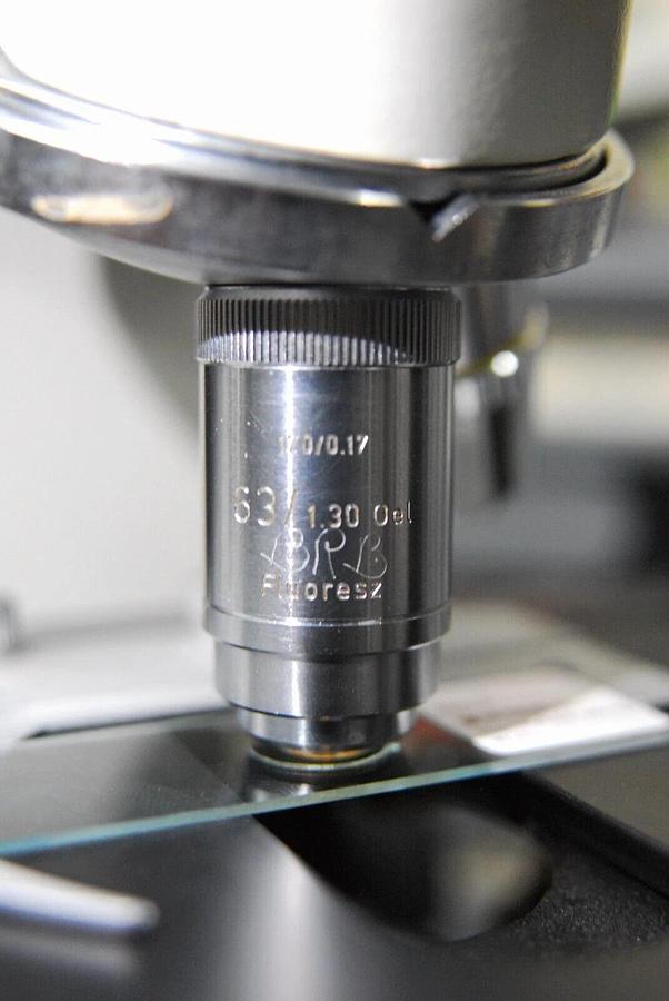 Used Leitz 63X Oel Fluoresz Objective (170/0.17 63/1.30 Oel Fluoresz)