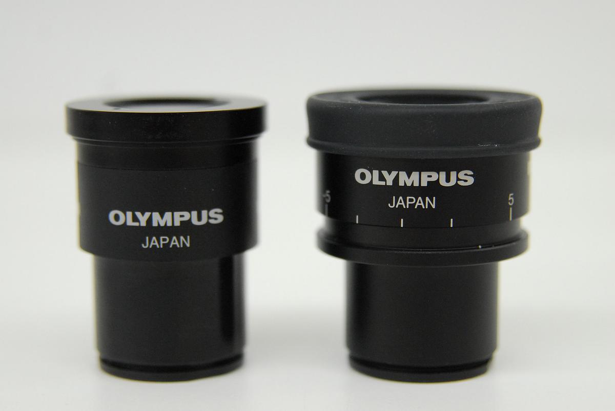 Used Olympus WHN10X-H/22 WHN10X/22 Microscope Eyepiece Set