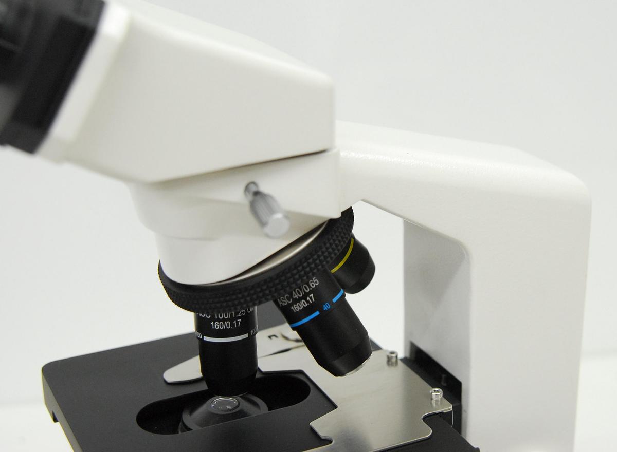 Used Boreal B2-252 Binocular Microscope W/ 4/10/40/100 Objectives