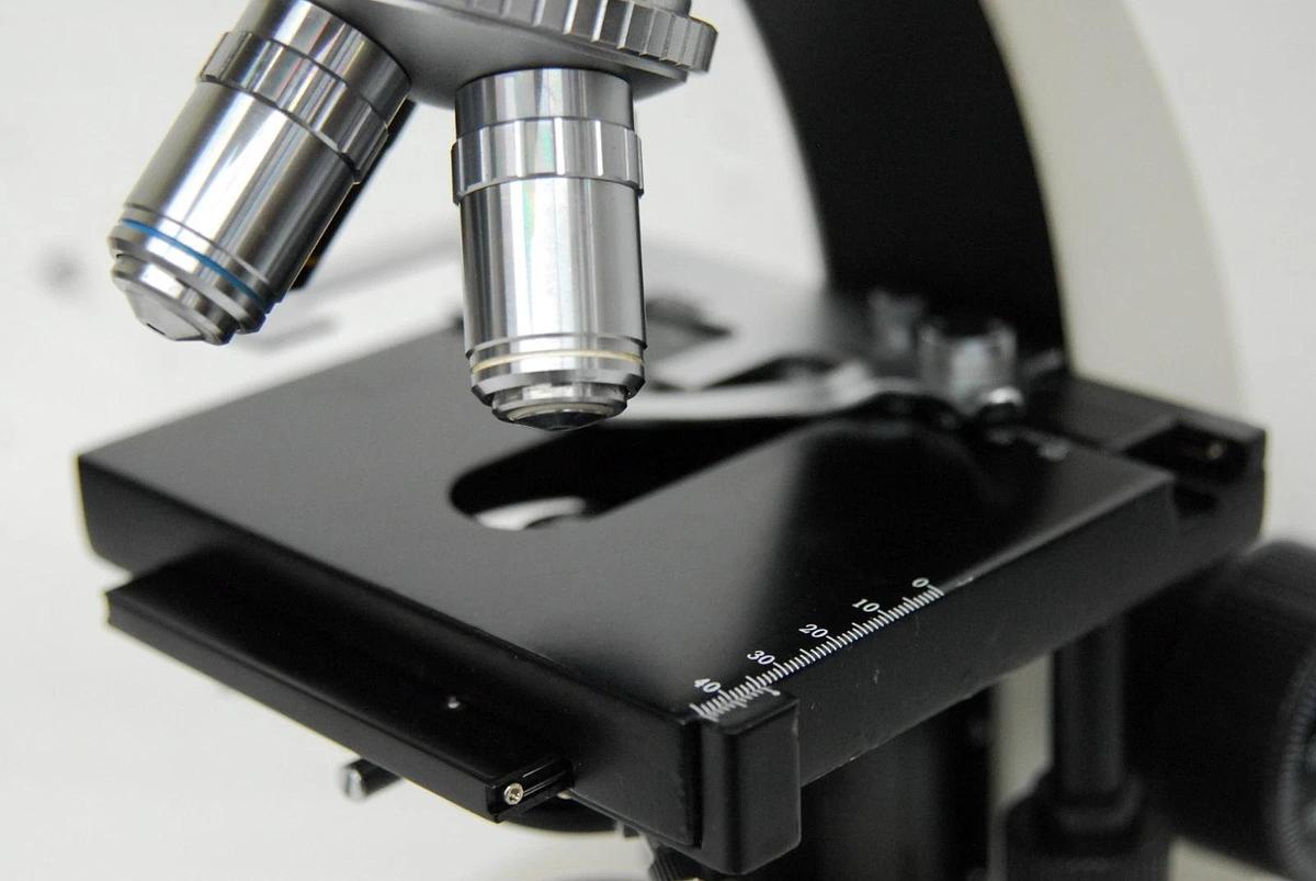 Used VWR Vistavision Compound Microscope W/ SP 4x/10x/40x/100x Objectives