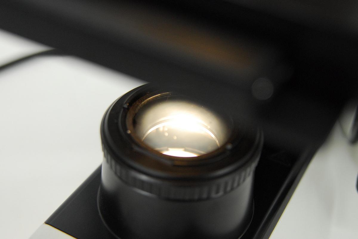 Used Olympus CX31 (CX31RBSFA) Microscope W/ Stage - Read Description