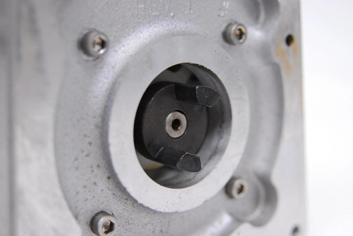 Used Franklin Electric 1603007402 1/4HP 1PH Electric Motor (Welch GEM 1.0)