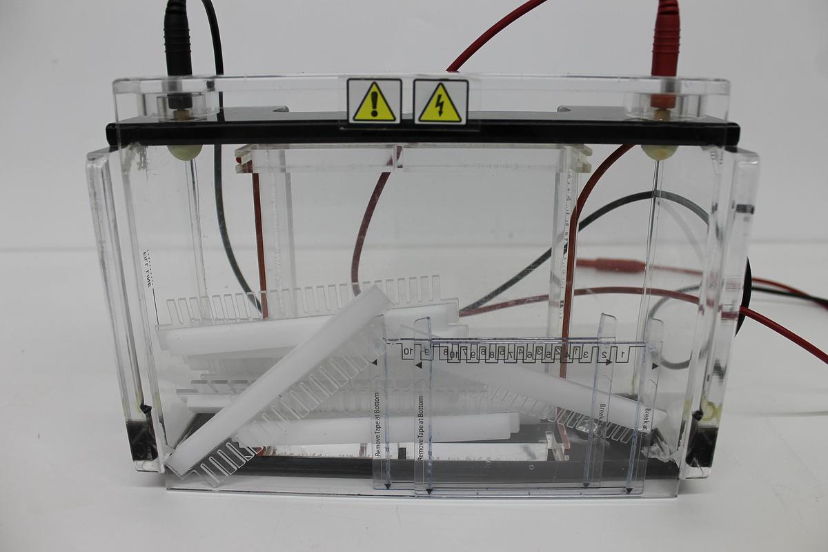 Used Owl EasyCast B2 Mini Gel Electrophoresis System