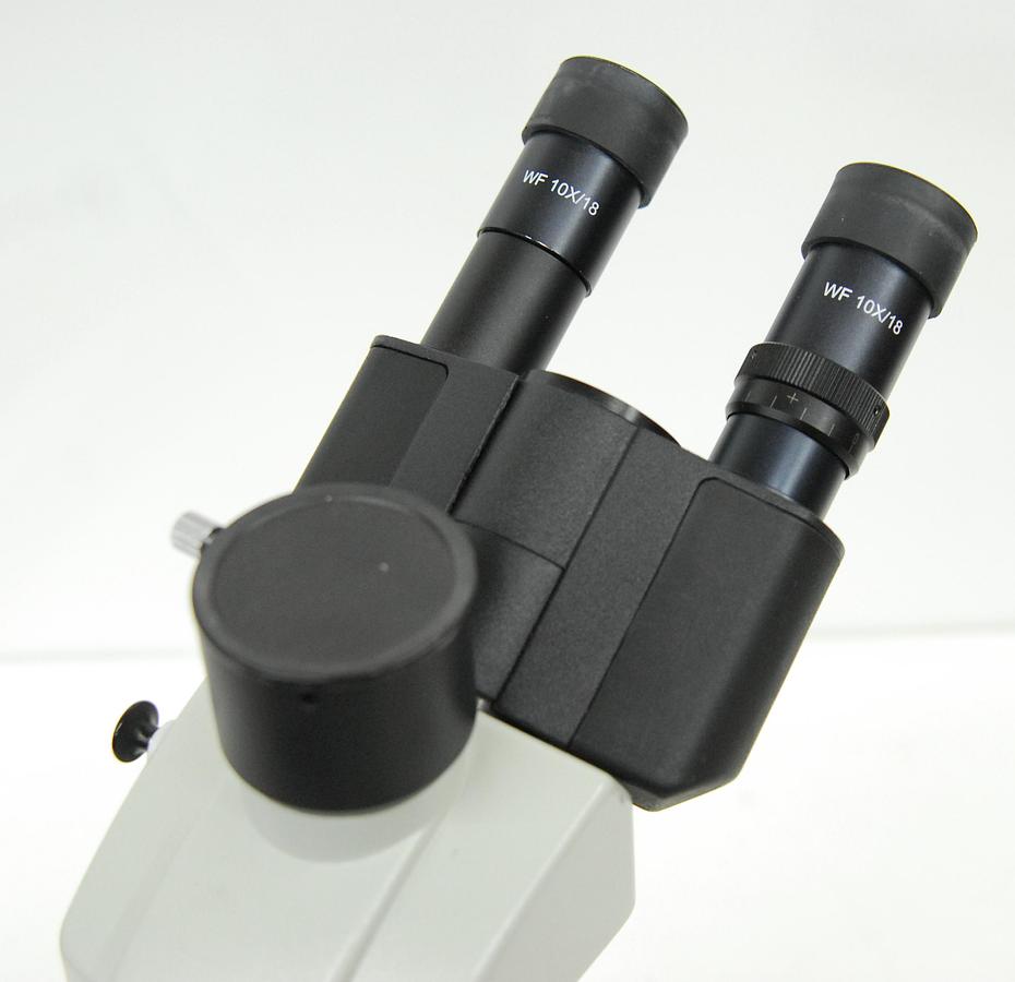 Used Motic BA200 Trinocular Microscope W/ EF Plan 4/10/40/100 Objectives