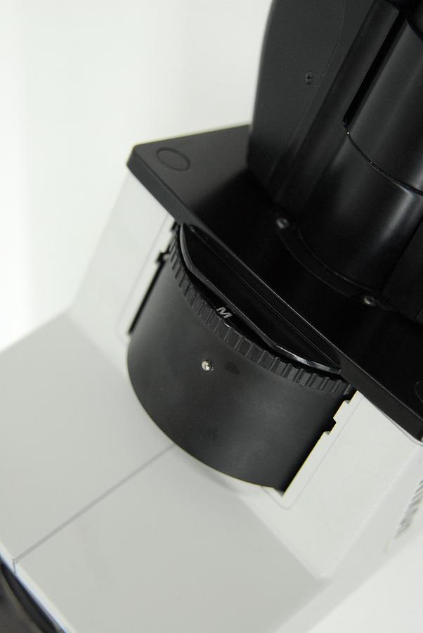 Used Nikon T-TD Binocular Tube D Microscope Head W/ CFI 10x/22 Eyepiece Set (TE2000)