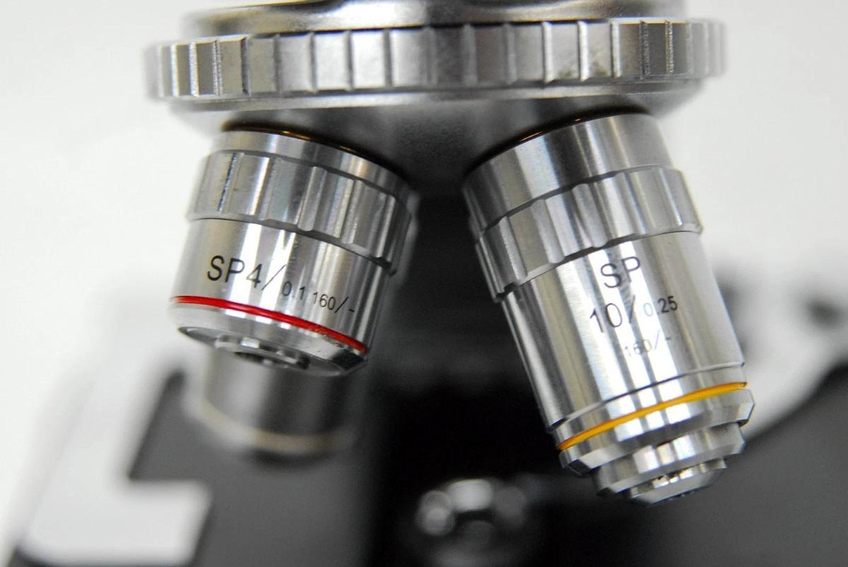 Used VWR Vistavision Compound Microscope W/ SP 4x/10x/40x/100x Objectives